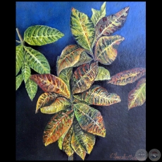 Crotos y sus colores - Pintura al óleo - Obra de Vicente González Delgado